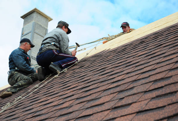 Best Metal Roofing Contractor  in Wake Village, TX